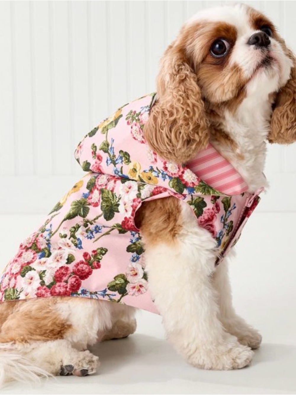 Sanderson Dog Rain Jacket, Medium, Hollyhocks